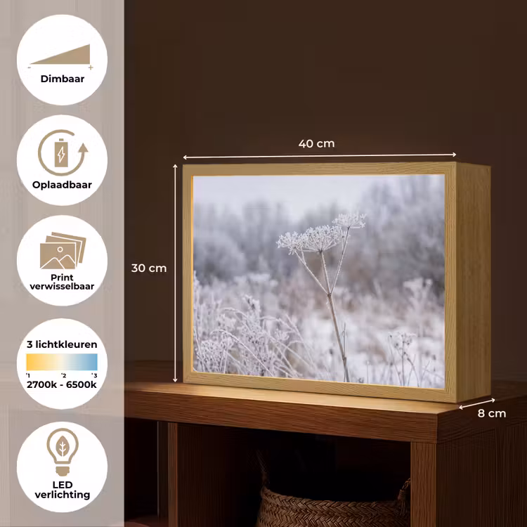 Schermbloem - Rijp - Kristallen - Winter - Delicaat Light Box met batterij (Wandlamp) middel -USP_websiteoverzichtNL