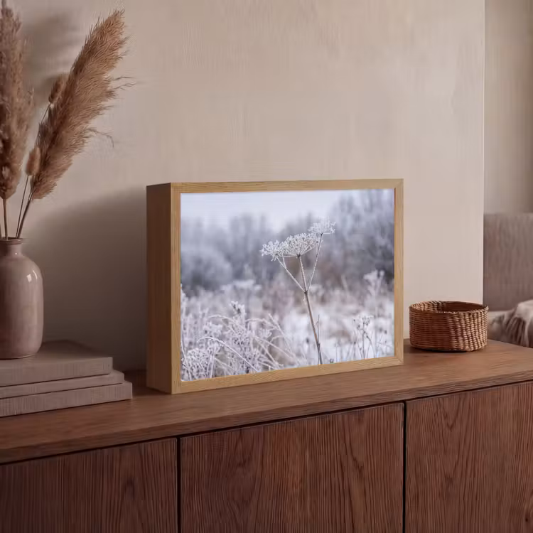 Schermbloem - Rijp - Kristallen - Winter - Delicaat Light Box met batterij (Wandlamp) middel -sfeer2