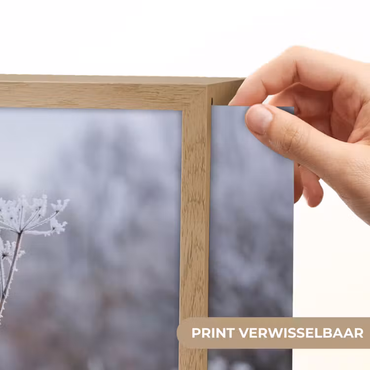 Schermbloem - Rijp - Kristallen - Winter - Delicaat Light Box met batterij (Wandlamp) middel -USP_websiteprintNL