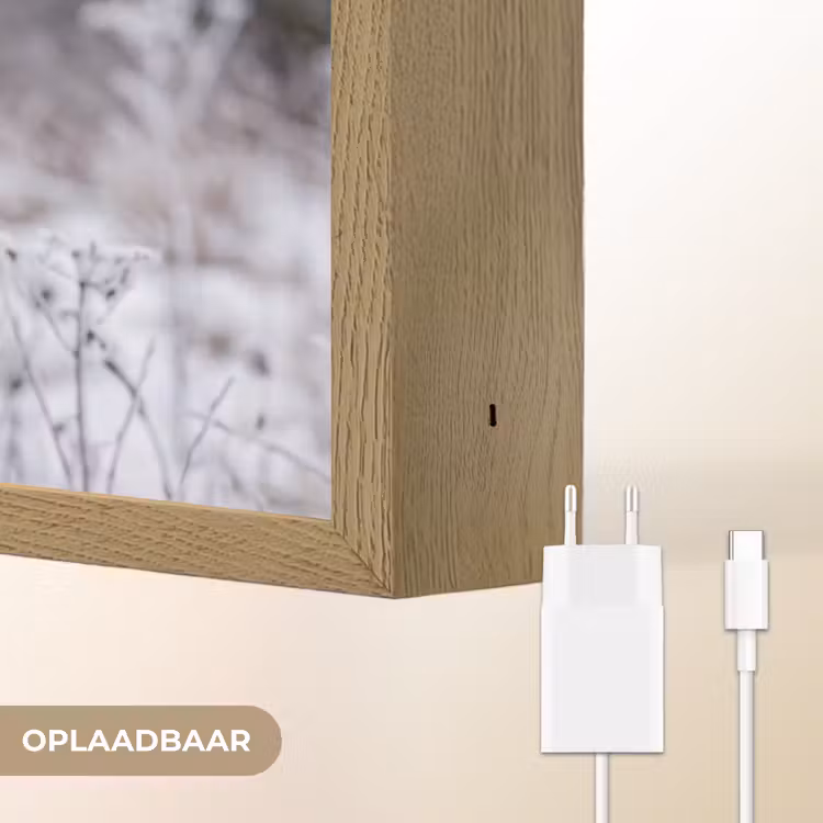 Schermbloem - Rijp - Kristallen - Winter - Delicaat Light Box met batterij (Wandlamp) middel -USP_websiteoplaadbaarNL
