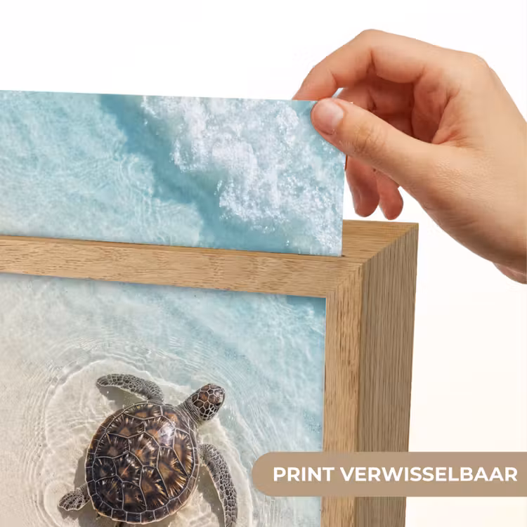 Schildpad - Helder water - Strand - Dieren - Natuur Light Box met kabel (Wandlamp) klein -USP_websiteprintNL