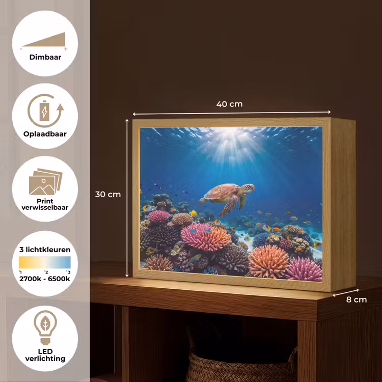 Schildpad - Koraalrif - Oceaan - Dieren - Blauw Light Box met batterij (Wandlamp) middel -USP_websiteoverzichtNL