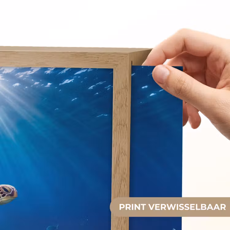 Schildpad - Koraalrif - Oceaan - Dieren - Blauw Light Box met batterij (Wandlamp) middel -USP_websiteprintNL
