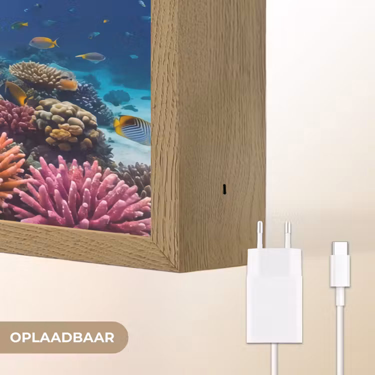 Schildpad - Koraalrif - Oceaan - Dieren - Blauw Light Box met batterij (Wandlamp) middel -USP_websiteoplaadbaarNL