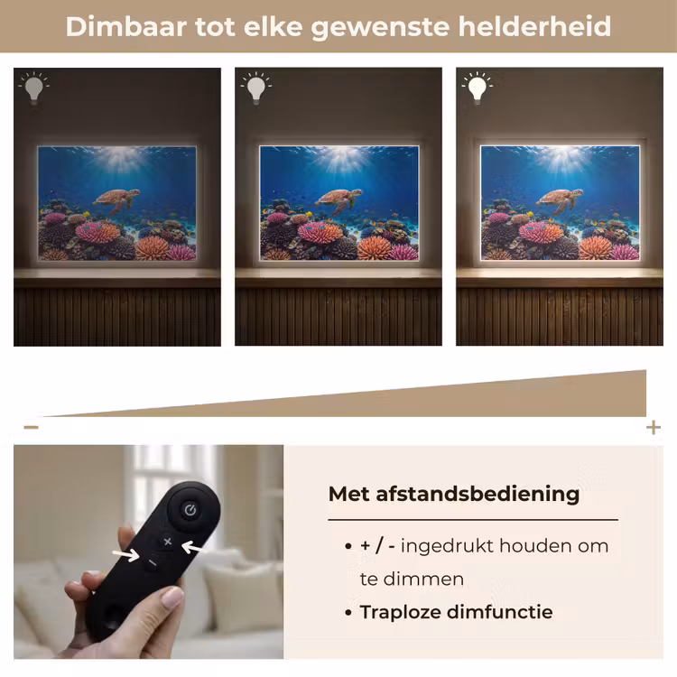Schildpad - Koraalrif - Oceaan - Dieren - Blauw Light Box met batterij (Wandlamp) middel -USP_dimbaarNL