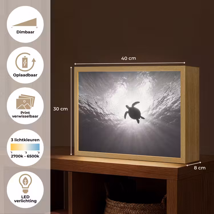 Schildpad - Onderwater - Lichtstralen - Oceaan - Zwart-wit Light Box met batterij (Wandlamp) middel -USP_websiteoverzichtNL