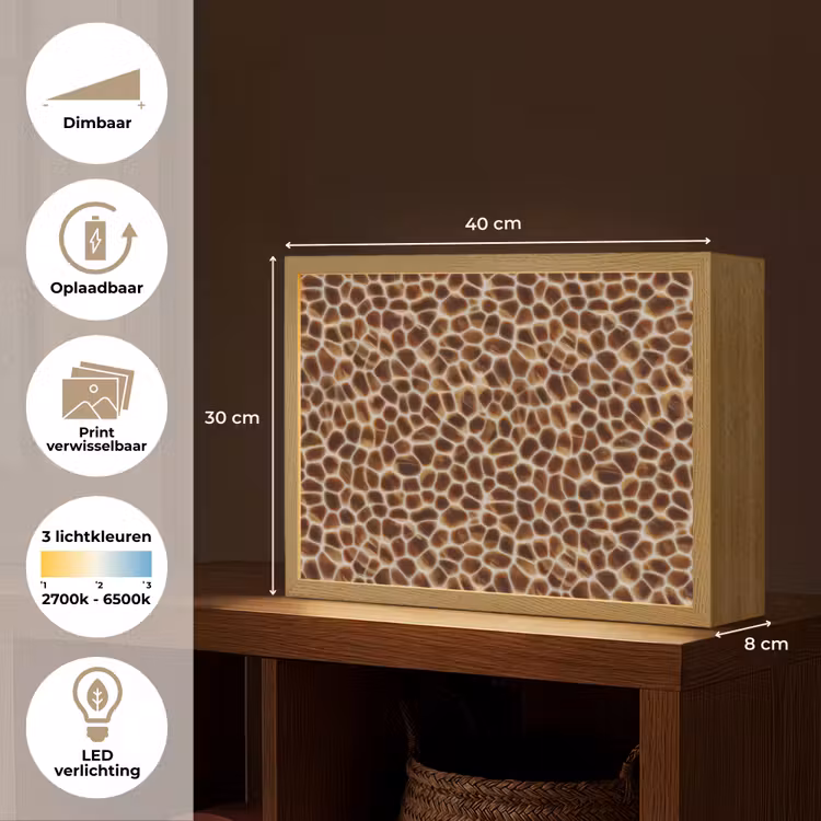 Schildpad - Patroon - Bruin Light Box met batterij (Wandlamp) middel 907 -USP_websiteoverzichtNL