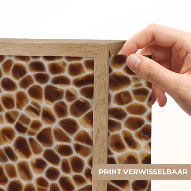 Schildpad - Patroon - Bruin Light Box met batterij (Wandlamp) middel 907 -USP_websiteprintNL