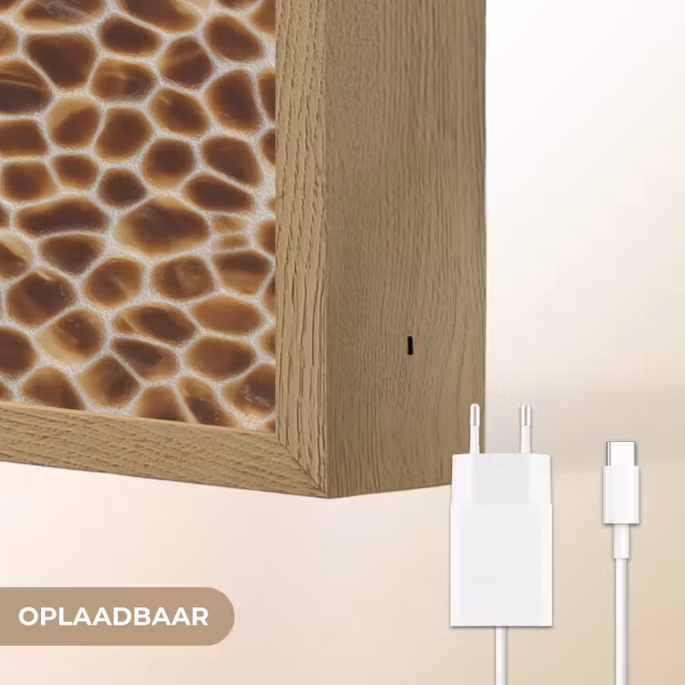 Schildpad - Patroon - Bruin Light Box met batterij (Wandlamp) middel 907 -USP_websiteoplaadbaarNL