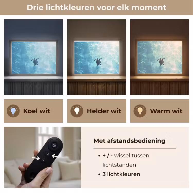 Schildpad - Zee - Blauw - Schittering Light Box met batterij (Wandlamp) middel -USP_lichtkleurNL