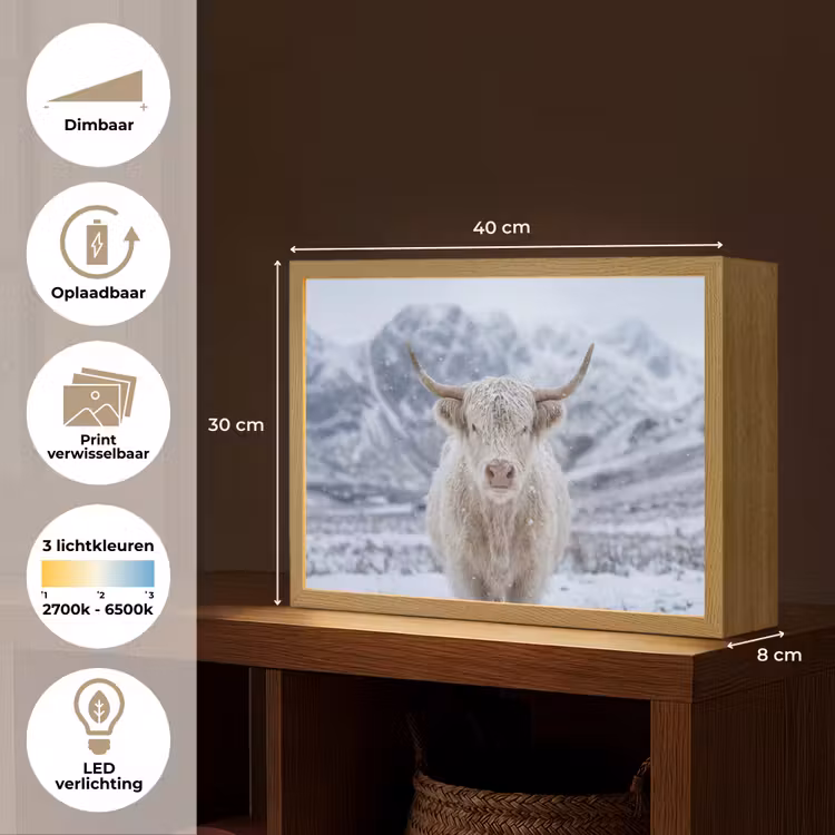 Schotse Hooglander - Sneeuw - Bergen - Winter Light Box met batterij (Wandlamp) middel -USP_websiteoverzichtNL