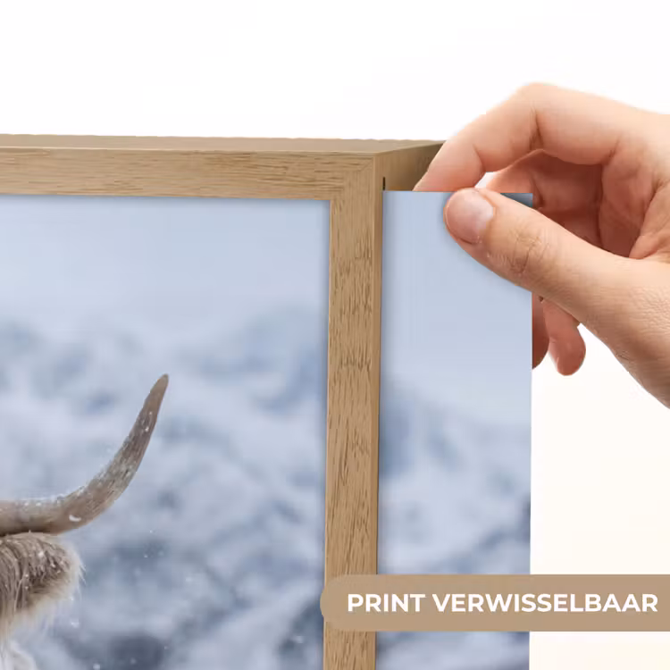Schotse Hooglander - Sneeuw - Bergen - Winter Light Box met batterij (Wandlamp) middel -USP_websiteprintNL