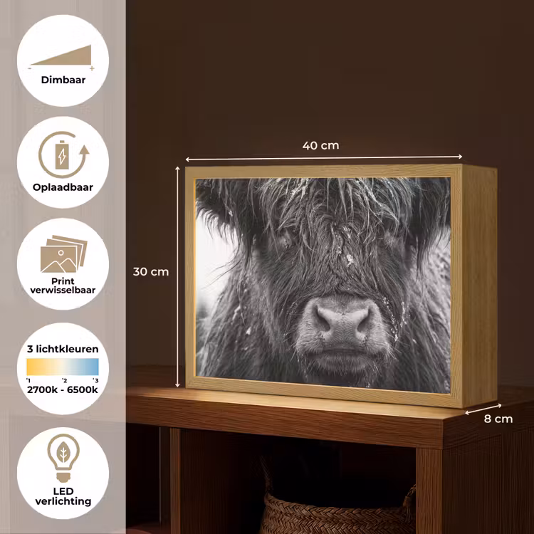 Schotse hooglander - Zwart - Wit - Sneeuwvlokken Light Box met batterij (Wandlamp) middel -USP_websiteoverzichtNL