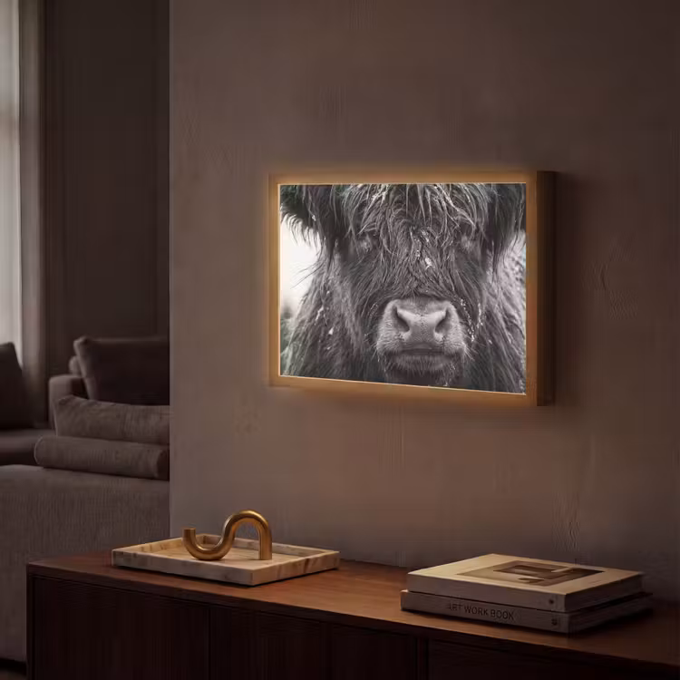 Schotse hooglander - Zwart - Wit - Sneeuwvlokken Light Box met batterij (Wandlamp) middel -sfeer1