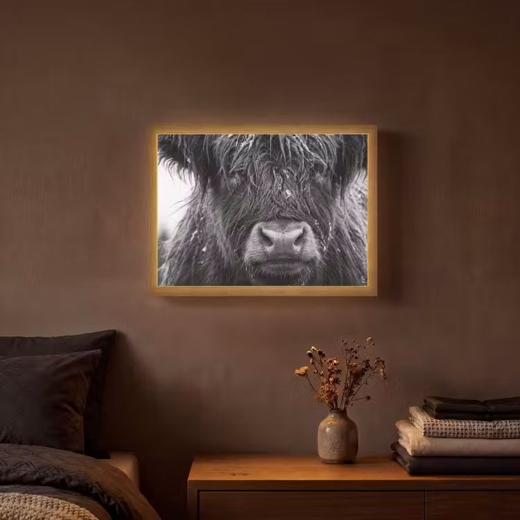 Schotse hooglander - Zwart - Wit - Sneeuwvlokken Light Box met batterij (Wandlamp) middel -sfeer4