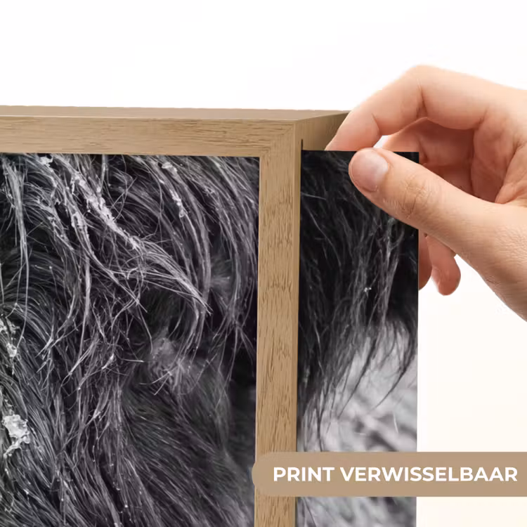 Schotse hooglander - Zwart - Wit - Sneeuwvlokken Light Box met batterij (Wandlamp) middel -USP_websiteprintNL