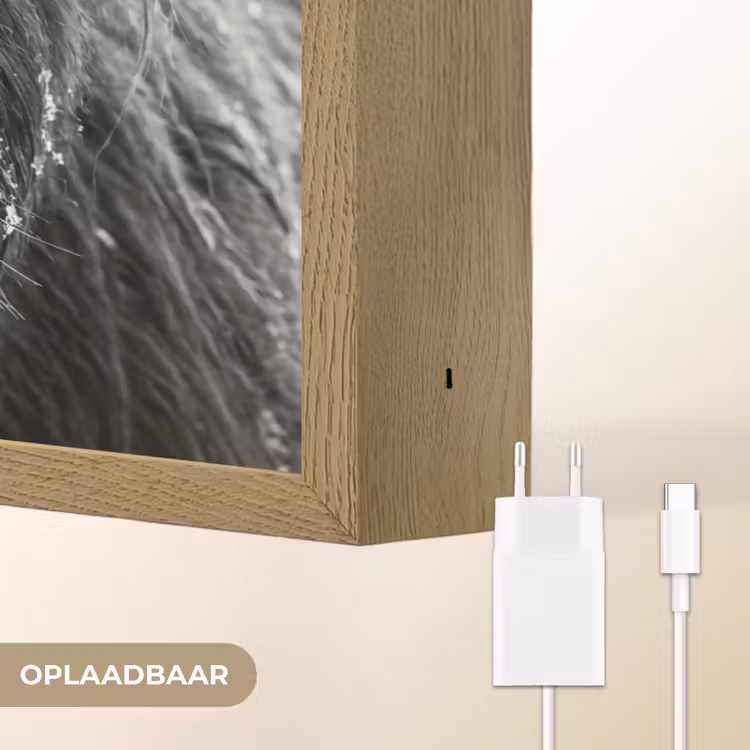 Schotse hooglander - Zwart - Wit - Sneeuwvlokken Light Box met batterij (Wandlamp) middel -USP_websiteoplaadbaarNL
