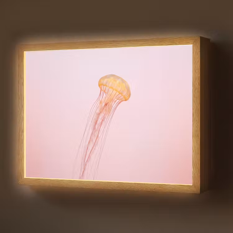 Sierlijk - Kwal - Roze Light Box met batterij (Wandlamp) middel -z3d_website