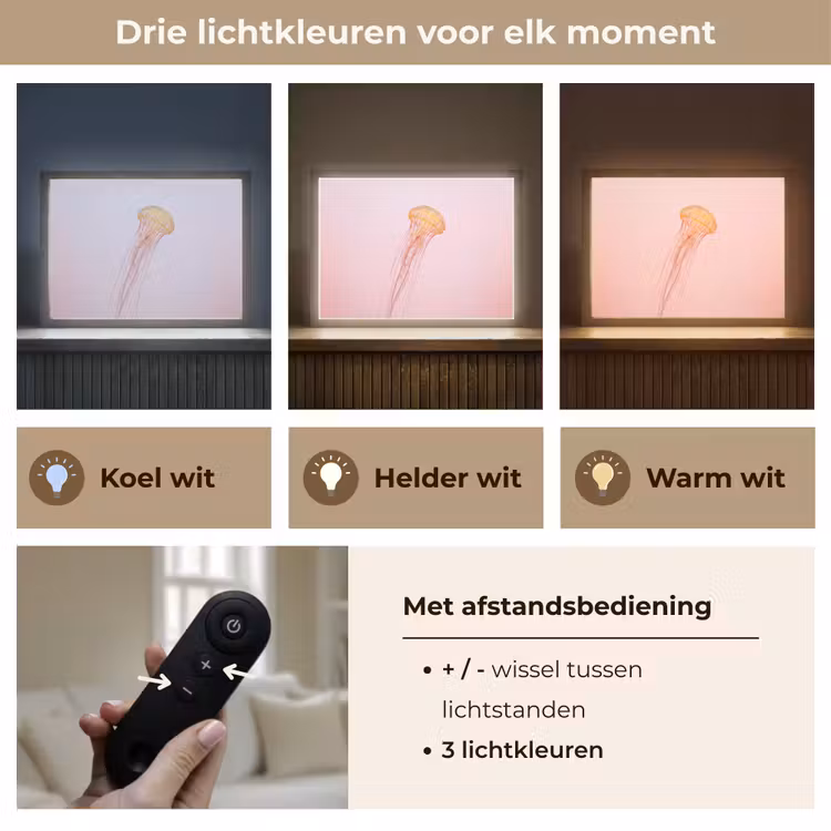 Sierlijk - Kwal - Roze Light Box met batterij (Wandlamp) middel -USP_lichtkleurNL