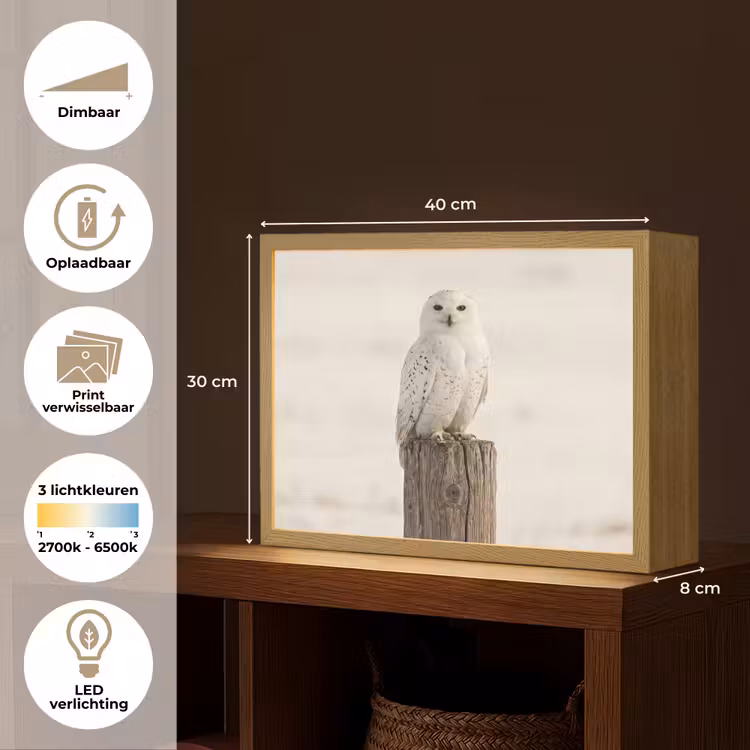 Sneeuwuil - Paal - Winter - Portret - Majestueus Light Box met batterij (Wandlamp) middel -USP_websiteoverzichtNL