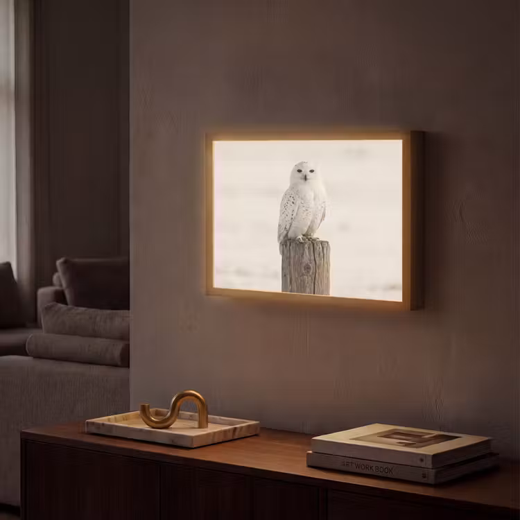 Sneeuwuil - Paal - Winter - Portret - Majestueus Light Box met batterij (Wandlamp) middel -sfeer1