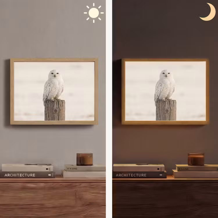 Sneeuwuil - Paal - Winter - Portret - Majestueus Light Box met batterij (Wandlamp) middel -sfeer3