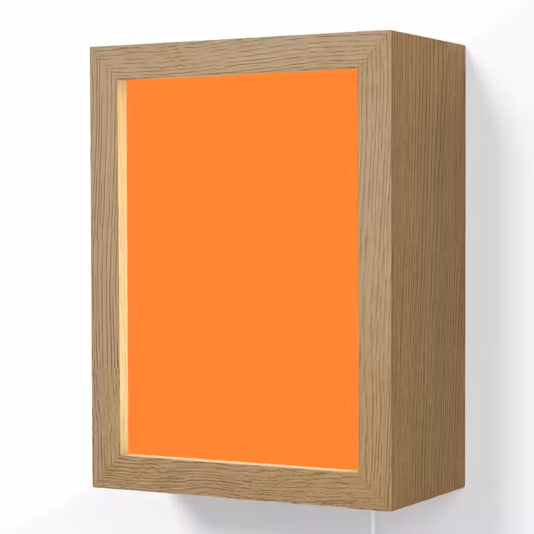 Spiced - Pumpkin - Oranje Light Box met kabel (Wandlamp) klein 929 -3d