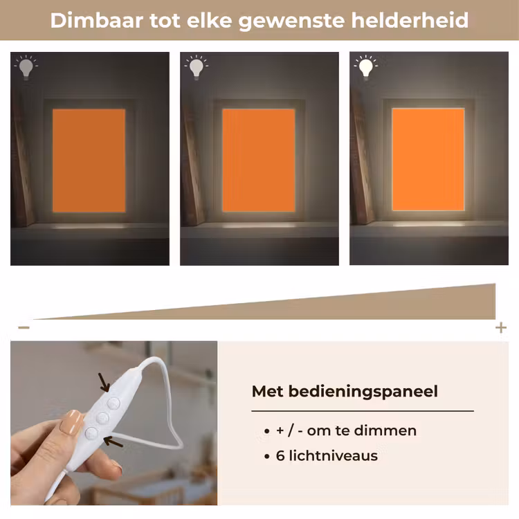 Spiced - Pumpkin - Oranje Light Box met kabel (Wandlamp) klein 929 -USP_dimbaarNL