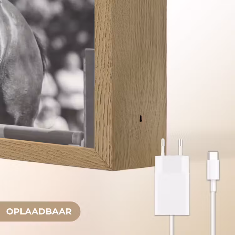 Springen - Paard - Zwart - Wit Light Box met batterij (Wandlamp) middel -USP_websiteoplaadbaarNL