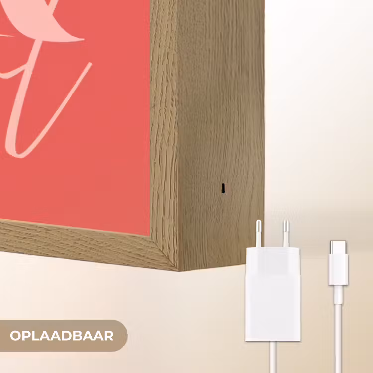 Star girl - Rood - Panter - Ster Light Box met batterij (Wandlamp) middel -USP_websiteoplaadbaarNL