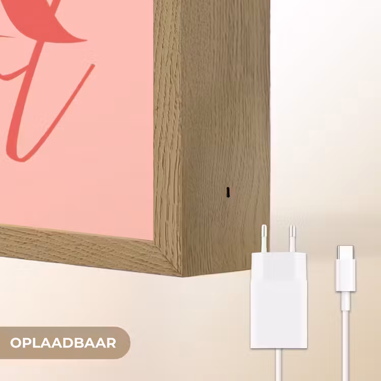 Star girl - Roze - Panter - Ster Light Box met batterij (Wandlamp) middel -USP_websiteoplaadbaarNL