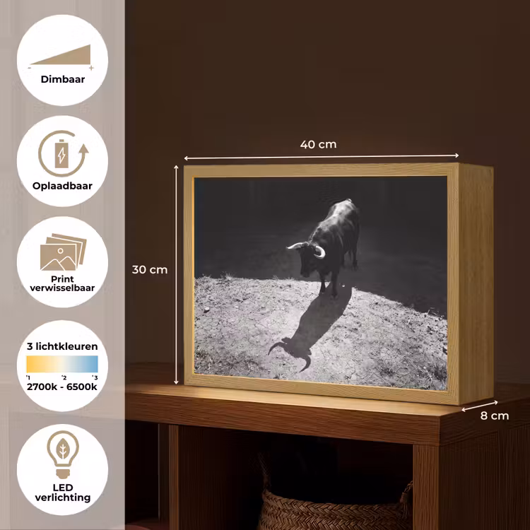 Stier - Schaduw - Dieren - Contrast - Zwart-wit Light Box met batterij (Wandlamp) middel -USP_websiteoverzichtNL