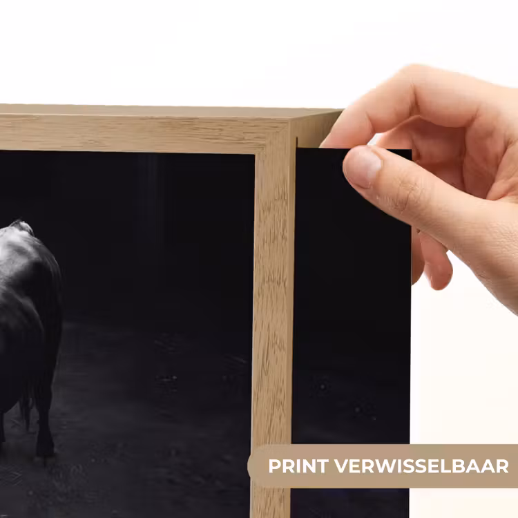 Stier - Schaduw - Dieren - Contrast - Zwart-wit Light Box met batterij (Wandlamp) middel -USP_websiteprintNL
