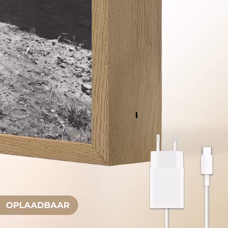 Stier - Schaduw - Dieren - Contrast - Zwart-wit Light Box met batterij (Wandlamp) middel -USP_websiteoplaadbaarNL