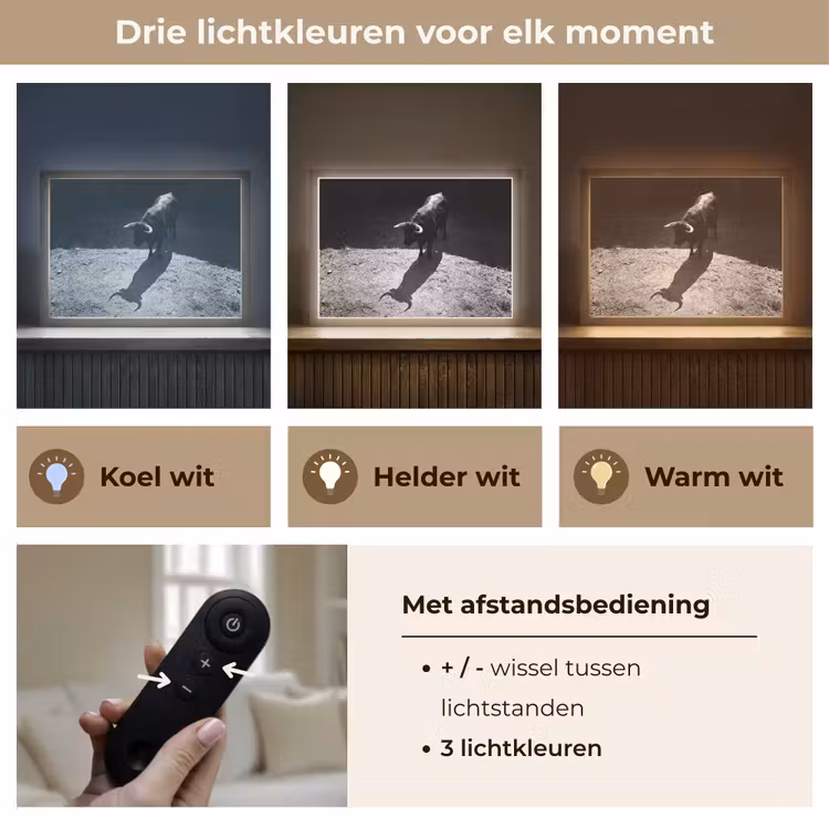 Stier - Schaduw - Dieren - Contrast - Zwart-wit Light Box met batterij (Wandlamp) middel -USP_lichtkleurNL