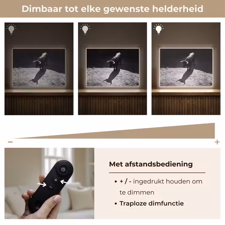 Stier - Schaduw - Dieren - Contrast - Zwart-wit Light Box met batterij (Wandlamp) middel -USP_dimbaarNL