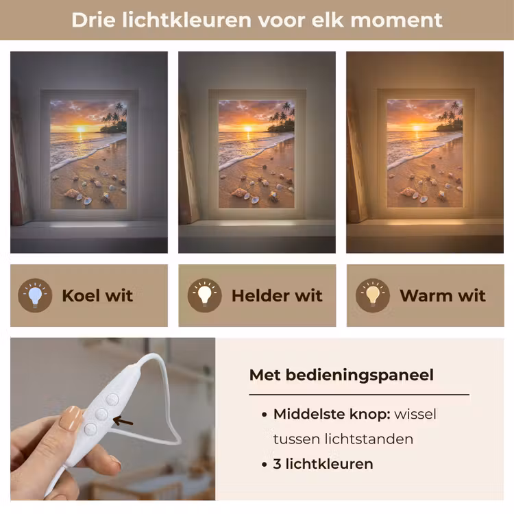 Strand - Zonsondergang - Palmbomen - Natuur - Oranje Light Box met kabel (Wandlamp) klein -USP_lichtkleurNL