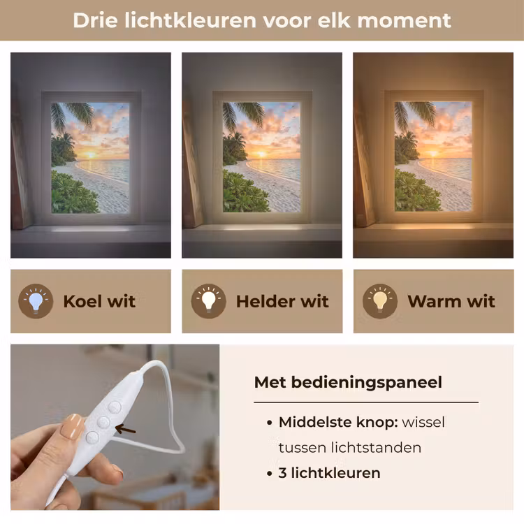 Strand - Zonsondergang - Palmbomen - Tropisch - Natuur Light Box met kabel (Wandlamp) klein -USP_lichtkleurNL