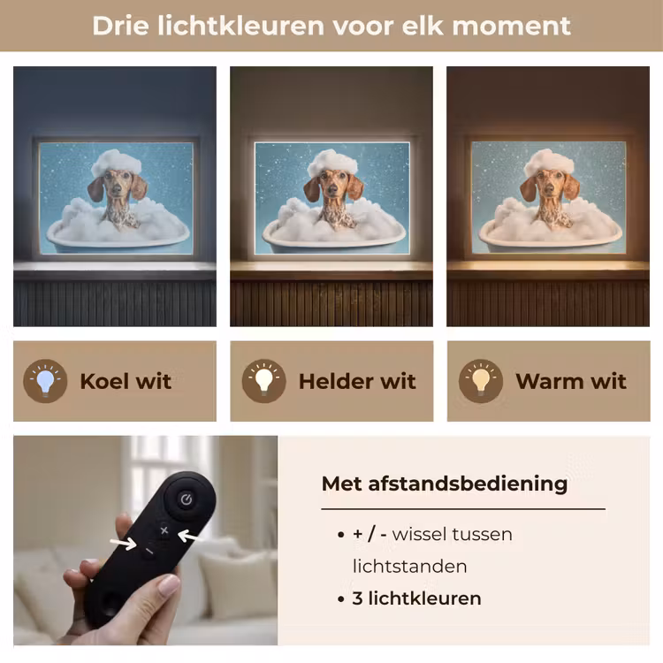 Teckel - Bad - Schuim - Waterdruppels Light Box met batterij (Wandlamp) middel -USP_lichtkleurNL