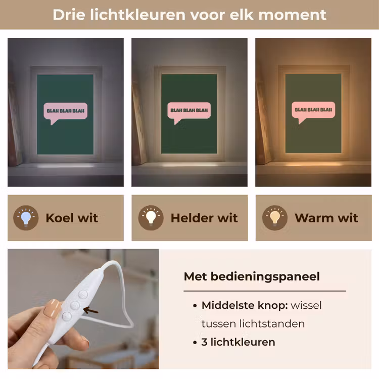 Tekstwolk - BLAH BLAH BLAH - Roze Light Box met kabel (Wandlamp) klein -USP_lichtkleurNL