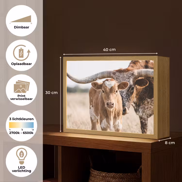 Texas Longhorn - Kalf - Weide - Dieren Light Box met batterij (Wandlamp) middel -USP_websiteoverzichtNL
