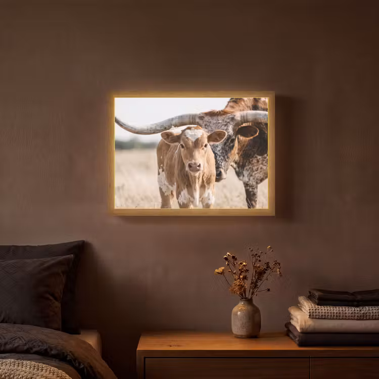 Texas Longhorn - Kalf - Weide - Dieren Light Box met batterij (Wandlamp) middel -sfeer4