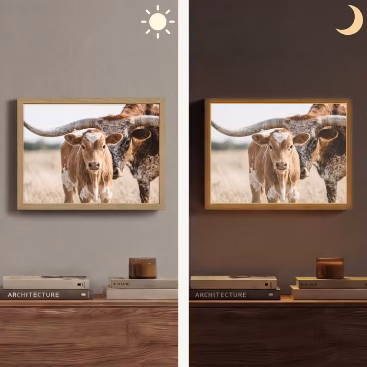 Texas Longhorn - Kalf - Weide - Dieren Light Box met batterij (Wandlamp) middel -sfeer3