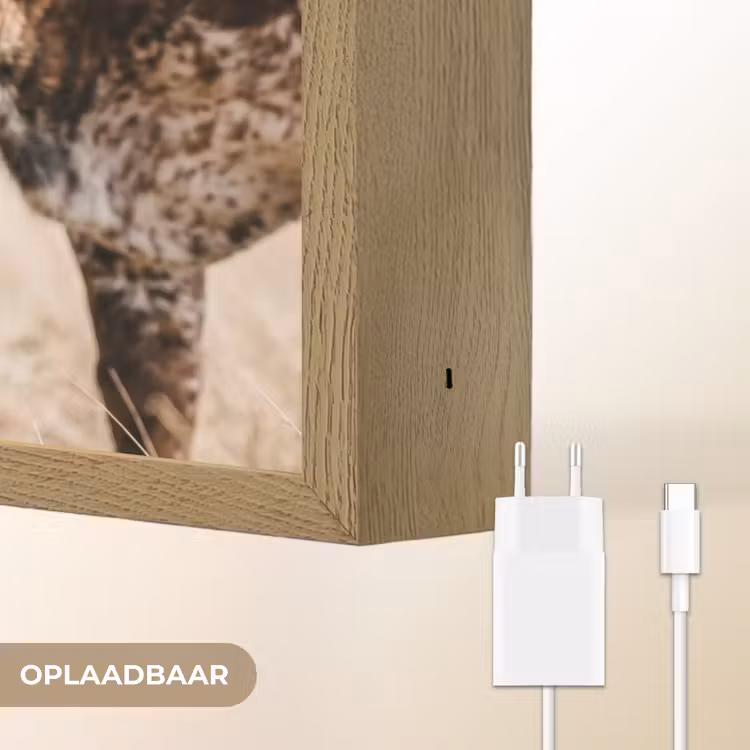 Texas Longhorn - Kalf - Weide - Dieren Light Box met batterij (Wandlamp) middel -USP_websiteoplaadbaarNL