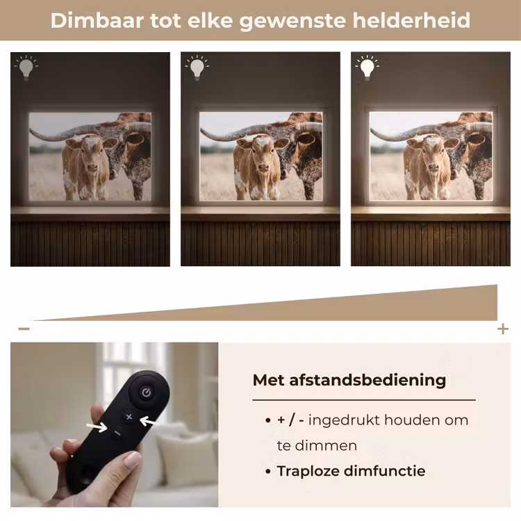 Texas Longhorn - Kalf - Weide - Dieren Light Box met batterij (Wandlamp) middel -USP_dimbaarNL