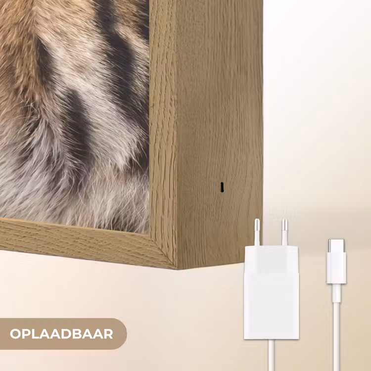 Tijgervacht - Klassiek - Zwart Light Box met batterij (Wandlamp) middel -USP_websiteoplaadbaarNL
