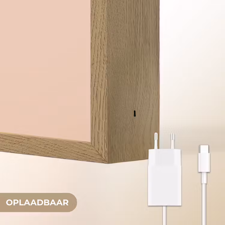 Too old for dicaprio - Roze - Groen Light Box met batterij (Wandlamp) middel -USP_websiteoplaadbaarNL