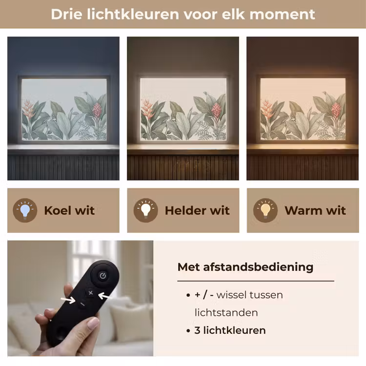 Tropisch - Planten - Modern - Groen Light Box met batterij (Wandlamp) middel -USP_lichtkleurNL
