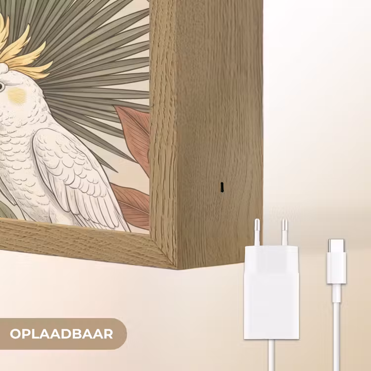 Tropisch - Vogels - Beige Light Box met batterij (Wandlamp) middel -USP_websiteoplaadbaarNL