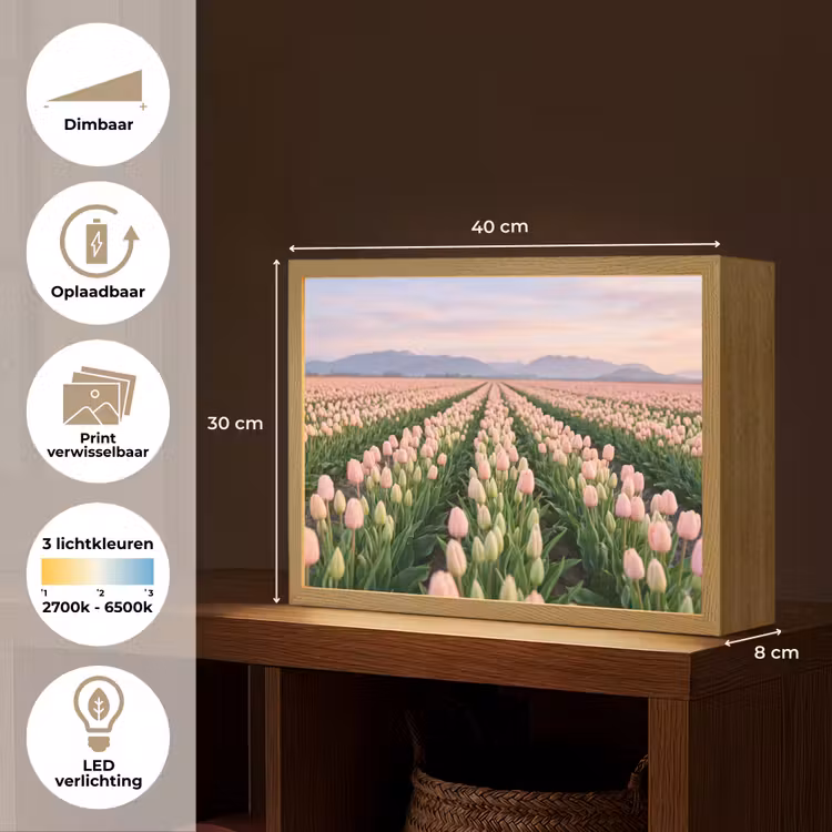 Tulpen - Landschap - Roze Light Box met batterij (Wandlamp) middel -USP_websiteoverzichtNL